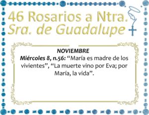 46 ROSARIOS A NUESTRA SEÑORA DE GUADALUPE DÍA 13