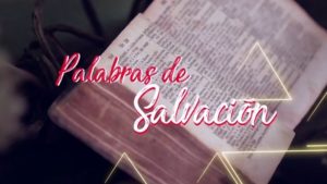 PALABRAS DE SALVACIÓN DÍA 08 DE NOVIEMBRE