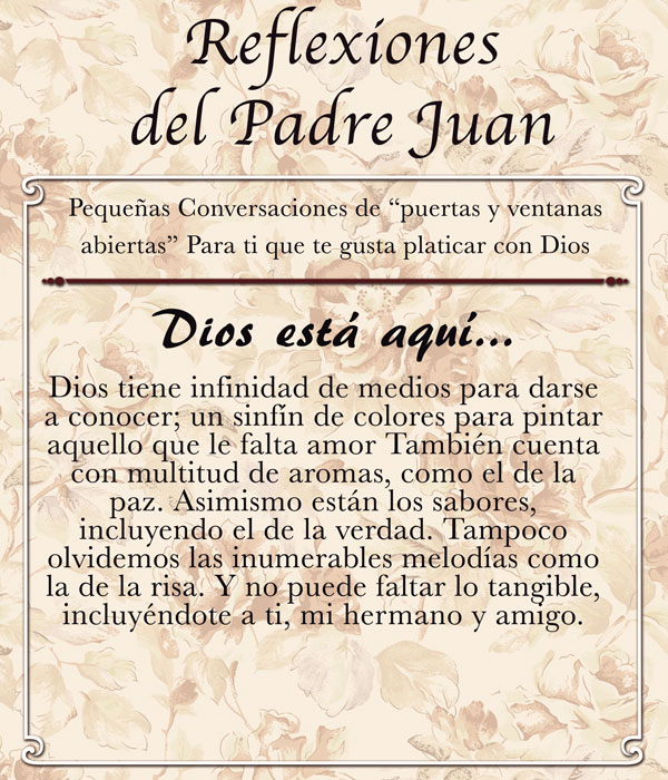 REFLEXIONES DEL PADRE JUAN