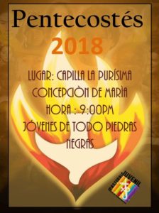 PASTORAL JUVENIL INVITA A LA VIGILIA DE PENTECOSTES 2018