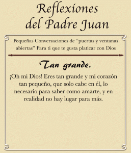 REFLEXIONES DEL PADRE JUAN