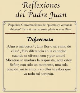 REFLEXIONES DEL PADRE JUAN