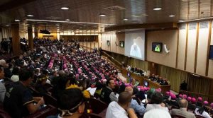 Los padres sinodales hablan de la formación de laicos y sacerdotes en la Amazonía