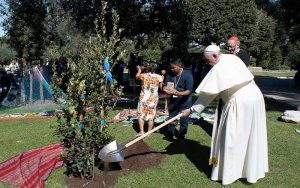 El Papa Francisco planta un árbol de Asís en la fiesta de San Francisco