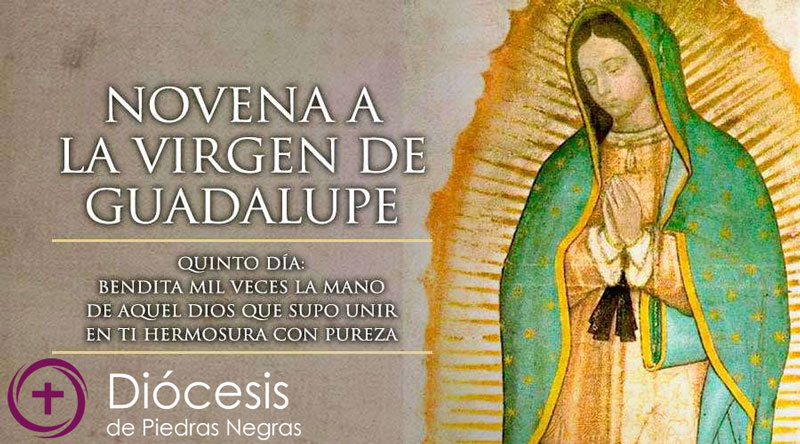 Quinto Día de la Novena a la Virgen de Guadalupe