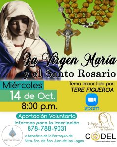 SE INVITA A LA CONFERENCIA POR ZOOM “LA VIRGEN MARÍA Y EL SANTO ROSARIO”