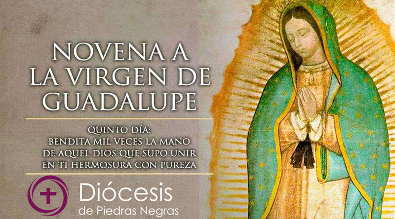 Quinto Día de la Novena a la Virgen de Guadalupe