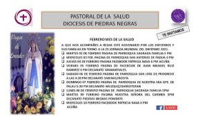 NOVENARIO PASTORAL DE LA SALUD