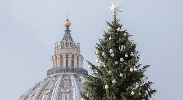 El Papa explica el significado del árbol de Navidad