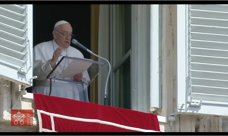 Papa Francisco da 6 ejemplos de la vida diaria para alcanzar el Cielo