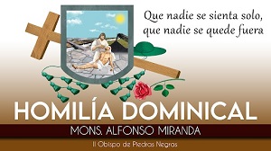 HOMILÍA DOMINICAL