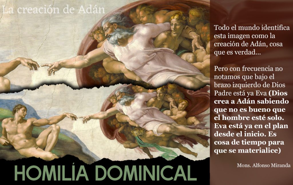 Homilía Dominical 6 de octubre